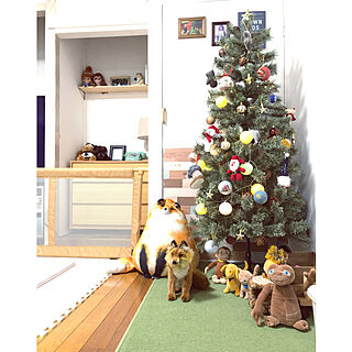 ツリーライト/クリスマスツリー150cm/クリスマス雑貨/クリスマスツリー/ツリー出しました！...などのインテリア実例 - 2021-11-13 20:51:27