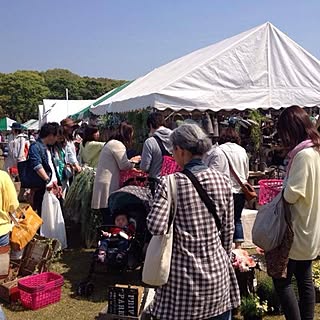 部屋全体/いなざうする屋さん/LOHAS FESTA/ロハスフェスタ/いなざうるす屋さんのインテリア実例 - 2014-04-26 01:10:03