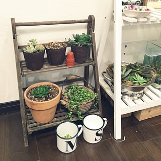 部屋全体/植物/多肉植物/手作り/サンキャッチャー...などのインテリア実例 - 2014-12-29 07:43:43