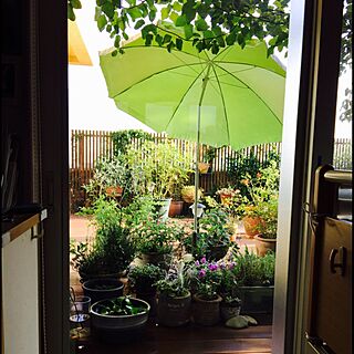 植物にも日傘を....../南側デッキ/いつの間にか８月 ☻/リビング/メダカにも日傘を！...などのインテリア実例 - 2015-08-03 18:42:18