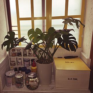 棚/デコ窓/ハンドメイド/DIY/観葉植物のインテリア実例 - 2017-01-05 10:09:36