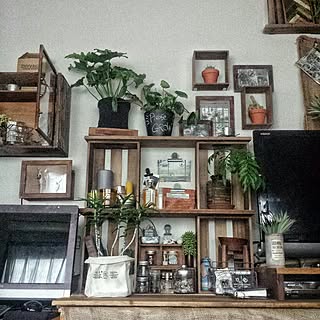 机/NO GREEN NO LIFE/植物のある暮らし/DIY/【植中毒】...などのインテリア実例 - 2016-11-27 11:18:04