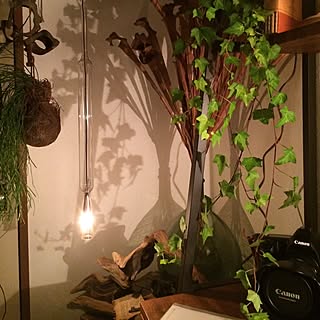 壁/天井/リメイクランプ/植物/一人暮らし/ドライフラワー...などのインテリア実例 - 2015-12-13 09:34:30