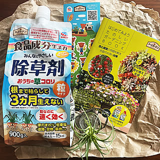 爽やかなフルーツの香り/粒タイプ/おうちの草コロリ/食品成分生まれ/草コロリ...などのインテリア実例 - 2023-04-29 10:23:04