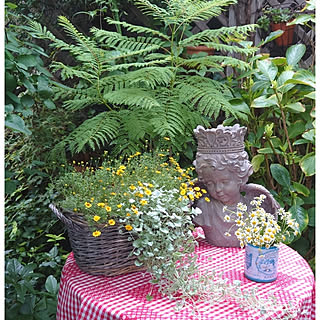 机/花のある暮らし/花のある風景/庭のある暮らし/植物のある暮らし...などのインテリア実例 - 2020-08-02 10:21:59