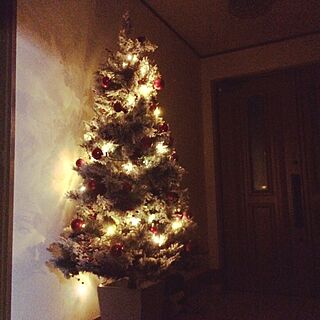 玄関/入り口/クリスマスツリー/クリスマスのインテリア実例 - 2016-11-27 21:39:38