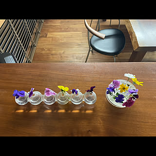 花器/ビオラ/ガラスの花器/庭の花/雑貨...などのインテリア実例 - 2023-01-16 06:43:23