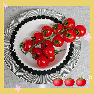 キッチン/カフェ風/マリメッコ/とまと/トマト...などのインテリア実例 - 2021-04-08 07:44:27