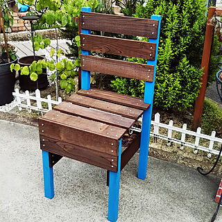 DIY/庭/木が好き/ガーデン椅子のインテリア実例 - 2021-08-30 05:41:42