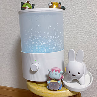 ミッフィー/Afternoon Tea LIVING/加湿器/勝手にいいね&フォローごめんなさい/キャラクター好き...などのインテリア実例 - 2021-11-21 22:40:21