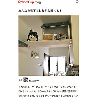 ベッド周り/ねこが好き/ねこと暮らす/猫多頭飼い/キャットハウスDIY...などのインテリア実例 - 2018-09-22 09:34:38