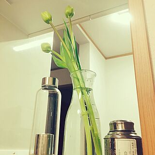 キッチン/植物/ニトリのインテリア実例 - 2017-03-18 20:18:12