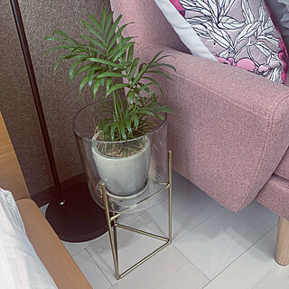 一人暮らし/1k 8畳/観葉植物/ZARAHOME/テーブルヤシ...などのインテリア実例 - 2021-03-11 13:46:47