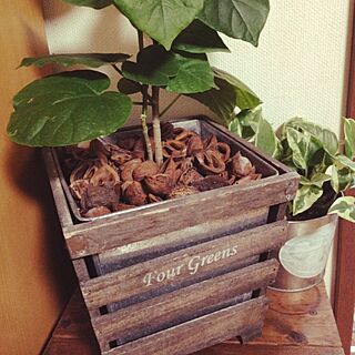 机/植物/クルカラ/雑貨のインテリア実例 - 2014-04-30 20:35:17