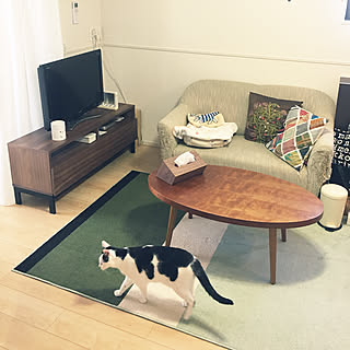 ウニコ ホクストンシリーズ ベンチ （unico HOXTON ホクストン