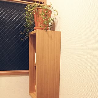 バス/トイレ/植物/ワイヤープランツ/グリーン/無印良品のインテリア実例 - 2014-09-02 12:19:20