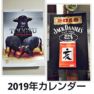 2019年カレンダー/ジャックダニエル/賃貸でも頑張る‼/闘牛女子/日めくりカレンダーリメイク...などのインテリア実例 - 2018-12-06 10:38:55