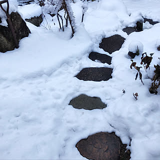 ガーデン/小道/飛び石/雪かき/雪景色...などのインテリア実例 - 2021-01-13 19:55:18