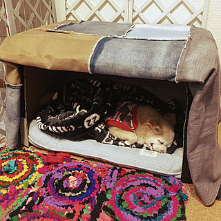 DIY 犬のベッドのインテリア・手作りの実例 ｜ RoomClip（ルームクリップ）