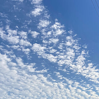 雲/空のインテリア実例 - 2023-11-23 14:38:43