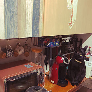晩御飯作りを見守る猫/ねこのいる風景/黒猫ミースケ/キッチンのインテリア実例 - 2021-06-30 19:20:05