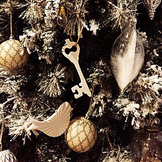 リビング/ウィーン/クリスマスツリー/IKEAのインテリア実例 - 2016-11-23 16:37:10