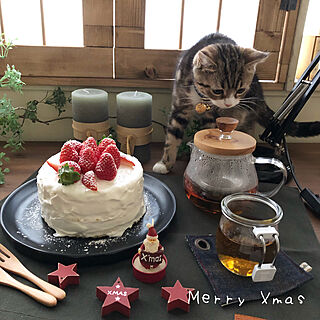 メリークリスマス/ねこのいる暮らし/クリスマスケーキ/ケーキ/おやつ...などのインテリア実例 - 2021-12-24 22:05:38