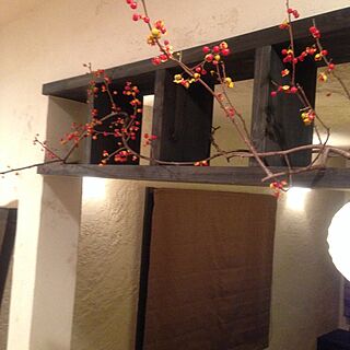 壁/天井/ツルウメモドキ/和室照明のインテリア実例 - 2013-11-24 18:45:50