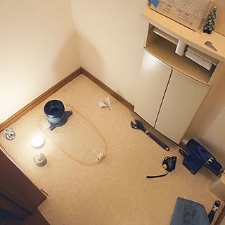 バス/トイレ/DIY/便器交換/TOTOトイレのインテリア実例 - 2020-11-26 20:57:09