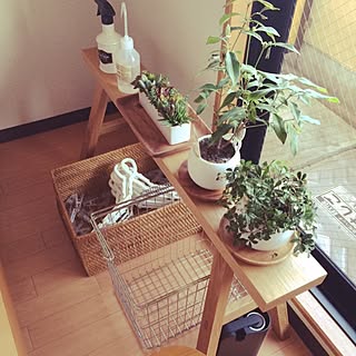 ベッド周り/一人暮らし/観葉植物/無印良品/植物...などのインテリア実例 - 2015-02-24 15:40:02