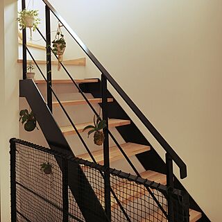 壁/天井/フックで植物を吊るす/スケルトン階段のインテリア実例 - 2017-02-15 13:09:30