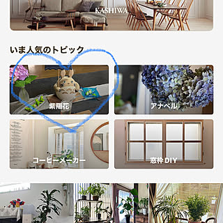紫陽花/優しいコメントありがとう♡/いいねと、フォローの押し逃げすみません！/出会いに感謝♡*゜/皆さんとの繋がりに感謝♪...などのインテリア実例 - 2023-06-25 15:07:51