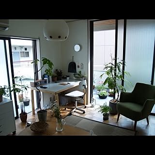 部屋全体/植物のインテリア実例 - 2013-03-24 16:00:13