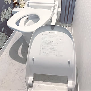 バス/トイレ/年末に向けて少しずつ掃除中/パナソニック/アラウーノ/トイレ掃除...などのインテリア実例 - 2017-11-21 23:20:28