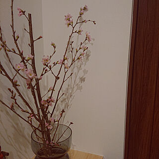 玄関/入り口/LIXIL/IKEA/桜の枝のインテリア実例 - 2020-02-02 18:23:59