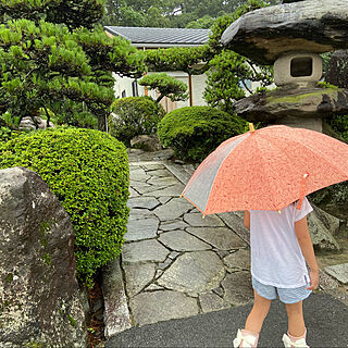 木の家/和風な玄関/和風モダン/和風の家/和風住宅...などのインテリア実例 - 2020-12-26 23:33:21