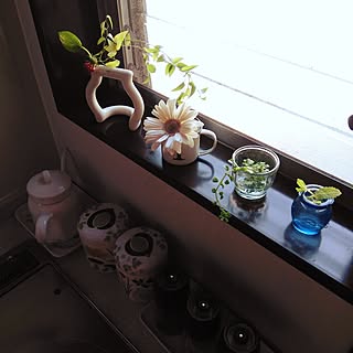 キッチン/花/観葉植物/セラミックジャパン/ハーブ...などのインテリア実例 - 2017-05-21 09:27:26