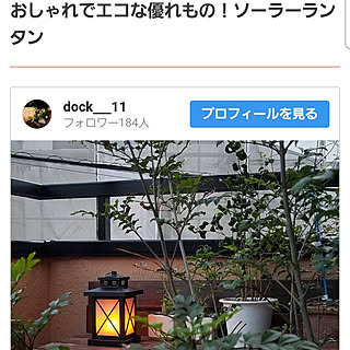 ベッド周り/ニトリ ソーラーランタン/ベランダガーデン/ガーデニング/グリーンのある暮らし...などのインテリア実例 - 2020-03-12 19:31:49