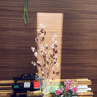 桜の花/天窓からの光り/飾り棚/DIY/シクラメン...などのインテリア実例 - 2021-03-04 10:59:54