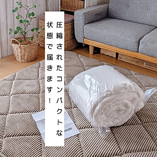 部屋全体/こたつ布団/山善/山善くらしのeショップ/山善×西川のこたつ布団...などのインテリア実例 - 2021-11-21 17:48:06