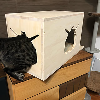 DIY/ねこ/木工/ガンダム/ねこと暮らす...などのインテリア実例 - 2021-09-05 20:57:11