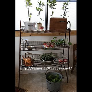 観葉植物/観葉植物のある部屋/グリーン/木箱リメイク/アルミ...などのインテリア実例 - 2017-05-16 11:29:44