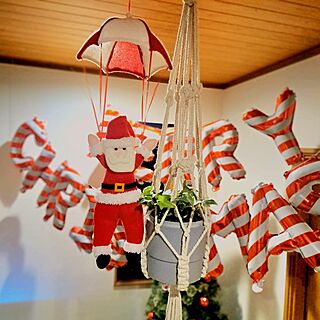 リビング/クリスマス/クリスマス2023/IKEA/観葉植物...などのインテリア実例 - 2023-11-29 18:48:00