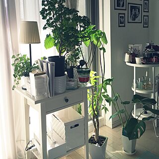 IKEA/観葉植物/一人暮らし/ガーデニング/ベッド周りのインテリア実例 - 2016-05-05 15:49:35