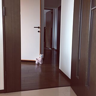 壁/天井/doorstopper/猫のインテリア実例 - 2014-10-17 17:38:29