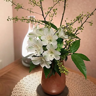 花のある暮らし 青文字のインテリア実例 Roomclip ルームクリップ