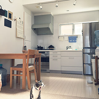 部屋全体/猫との暮らし/IKEA/シンプル 部屋のインテリア実例 - 2017-08-19 08:26:35
