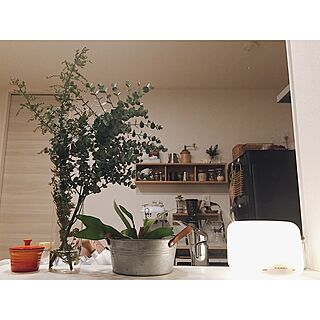 壁に付けられる家具/アロマ/Instagram:yui____k/シンプル/NO GREEN NO LIFE...などのインテリア実例 - 2017-02-08 20:08:34