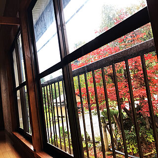 窓からの風景/もみじ/秋色/壁/天井のインテリア実例 - 2019-10-26 08:01:00