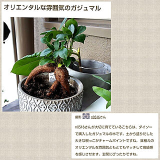 玄関/入り口/マンション/マンション暮らし/お花のある暮らし/植物のある暮らし...などのインテリア実例 - 2022-03-21 10:46:51